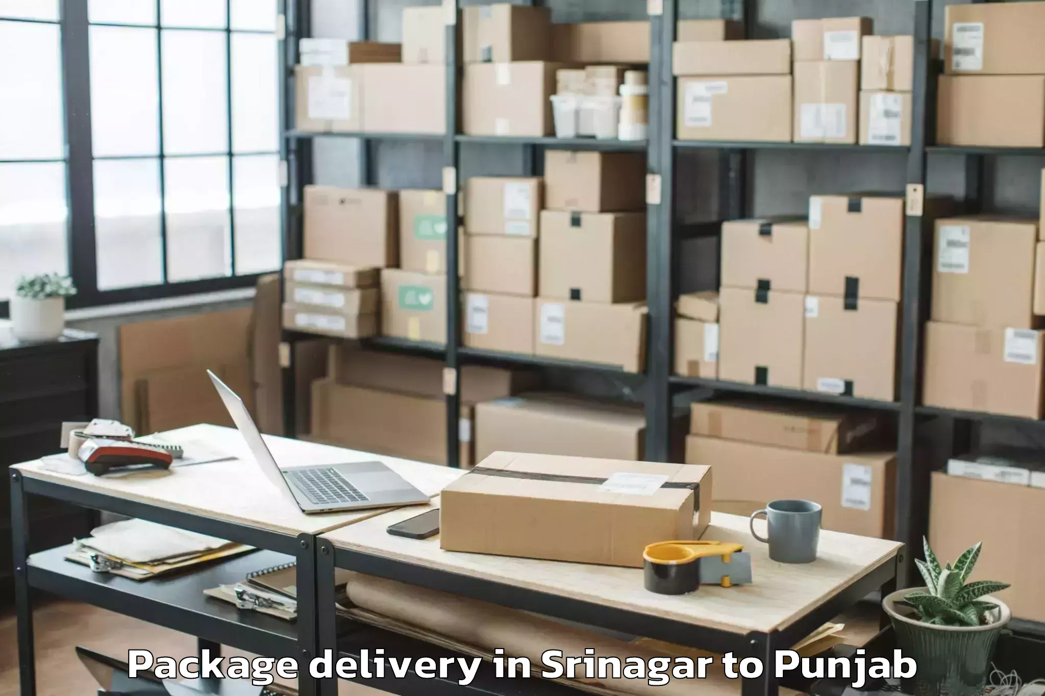 Trusted Srinagar to Ludhiana East Package Delivery